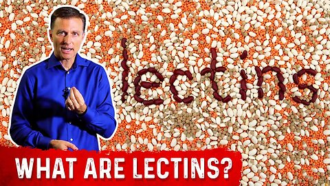 What Are Lectins? – Dr. Berg