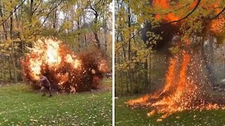 Insane slow-motion footage of leaves catching on fire