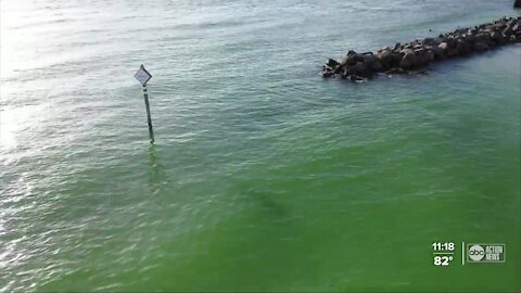 Good Samaritans rescue man from rip current on Upham Beach