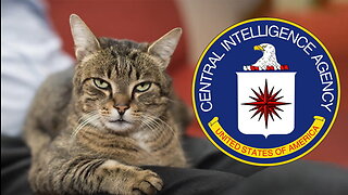 The CIA Once Trained a Cat to Be a Spy