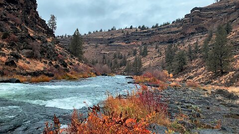 HIKING EXPLORING Deschutes Canyon River Shoreline @ Steelhead Falls! | FALL AUTUMN Central Oregon 4K