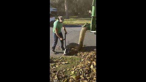 BillyGoat Debris Loader Used For Leaf Cleanups