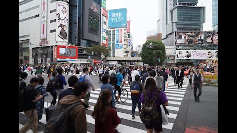 Shibuya crossing - Tokyo, Japan. One of the Busiest Intersections in the World