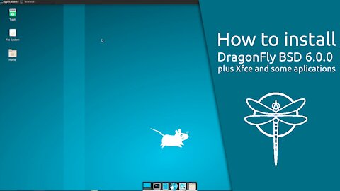 How to install DragonFly BSD 6.0.0 plus Xfce and some aplications