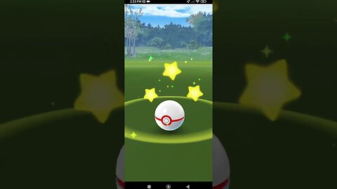 Pokémon GO-Shadow Treecko