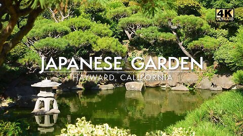 Hayward Japanese Gardens 4K - Calming Japanese Garden with Pond, Koi Fish, Waterfall, and Birdsong