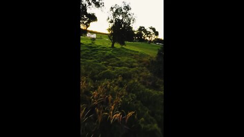 This is where I THRIVE 😁 Shendrones Thicc #shorts Full video on my channel! #fpv #cinematic #nature