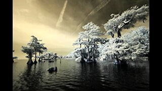 Infrared Photography with Bob Barbour on Sebastian River, Florida