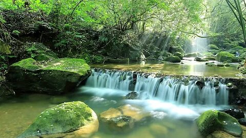 Instrumental Hymns of Peace | Great Church Hymns