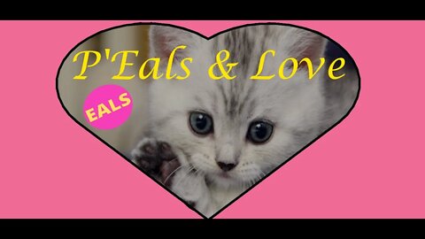 P'Eals & Love (en ASMR)