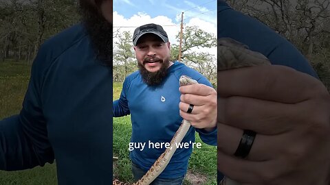 We Caught Him! 🐍🐍🐍😱