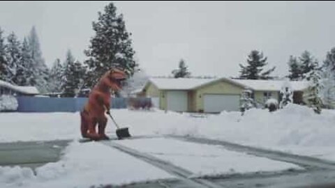 Ce T-Rex est un pro du déneigement