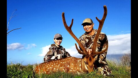 Hawaii Axis Deer Hunt