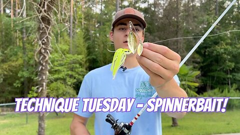 Spinnerbait Retrieval Techniques | Tips for Success!