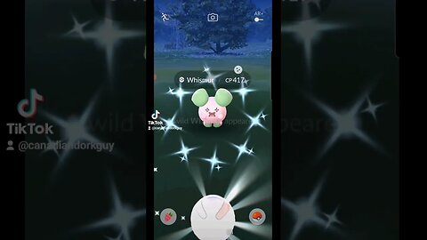 Shiny Whismur#pokemon #pokemongo #shiny #whismur #shinyhunting #shinywhismur #shinypokemon #fyp #fy