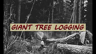 Logging in British Columbia (1929) #reset #mudflood #oldworld