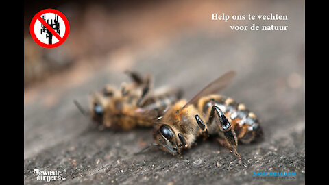 Help ons te vechten voor de natuur