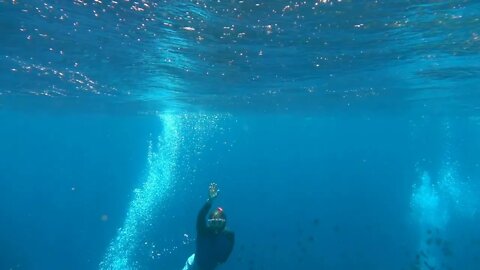 Man swimming under the water, slow motion