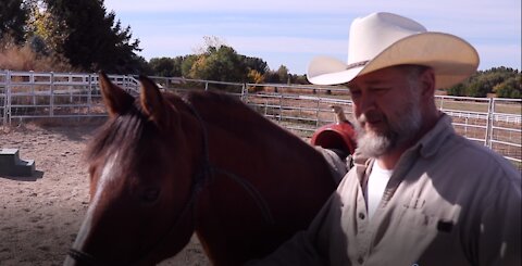 Lil Brother's first ride at Rickety Old Farm (p)