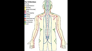 Brain & Nerve Tones