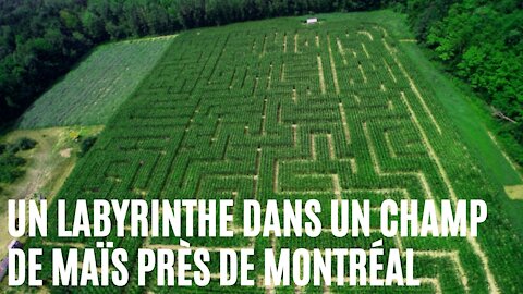 Ce gros labyrinthe dans un champ de maïs est à côté de Montréal et ouvre ce week-end