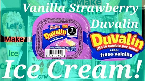 Ice Cream Making Vanilla Strawberry Duvalin