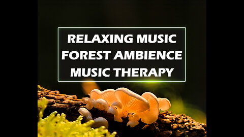 Relaxing Music Therapy with Natures Sound for Sleeping, Studying or Meditating