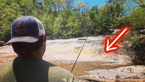 Fishing High Falls State Park (Multi-Species!)