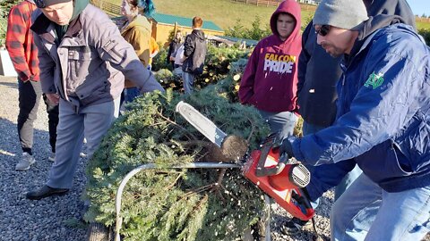 Local tree farm has its own Heritage