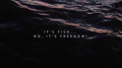 It's Fish... No, It's Freedom - A Fishing Documentary || "Waterhaul" Clip