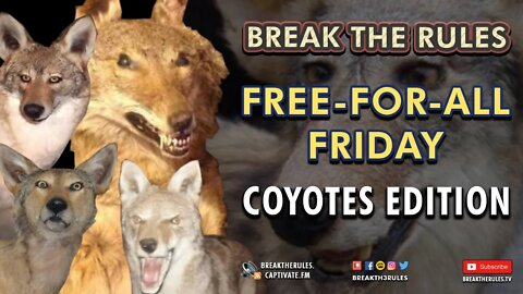 Free-For-All Friday - Coyotes Edition