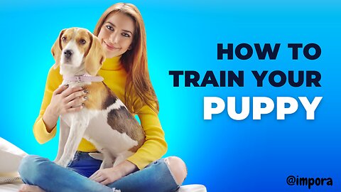 How to Train Your Puppy