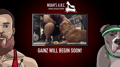 Lift Session w/Finley & Dufus [Week 24] - Back & Traps // Animal Rescue Stream :)