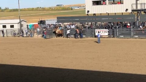 Bronc Ride at Rodeo