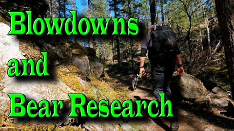 Hike Washington | Thunder Knob | BLOWDOWNS & BEAR RESEARCH