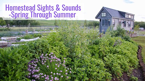 Wyoming Homestead Sights & Sounds - Spring Through Summer in Our High Mountain Valley