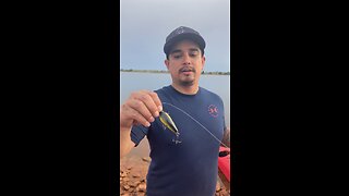 Catch Clean Cook Banger & Kayak ONLY!!!