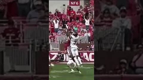 Justin Robinson with the Spectacular Catch!! #justin #bulldogs #msu #catch #reception #sec