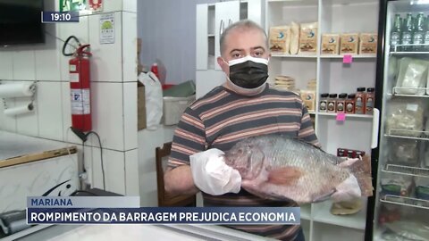 Mariana: Rompimento da barragem prejudica economia