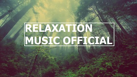 RELAXATION MUSIC OFFICIAL - relaxing music, music for meditation, stress relief, spiritual. #0003