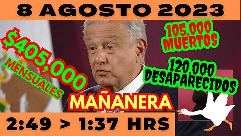 💩🐣👶 AMLITO | Mañanera *Martes 8 de Agosto 2023* | El gansito veloz 2:49 a 1:37.