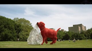 Clifford The BIG Red DOG