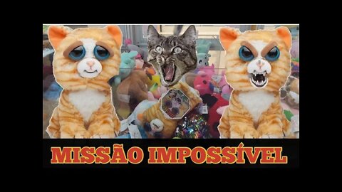 MISSÃO IMPOSSÍVEL: A BATALHA PARA PEGAR O FEISTY GATO FOI DURA E TERRÍVEL 😡😓😥😡