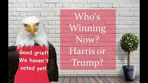 Who's Winning Now? Harris or Trump?