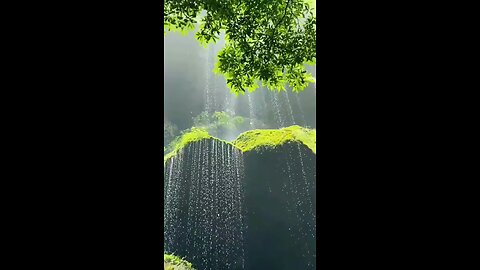 Beautiful Water Fall