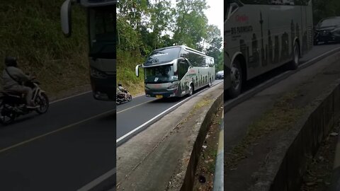 bus pariwisata