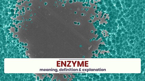 What is ENZYME?