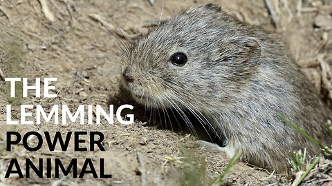 The Lemming Power Animal