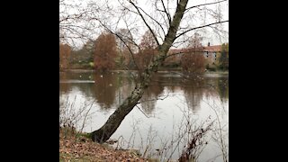 Walking through Aalborg’s Most Beautiful Lake