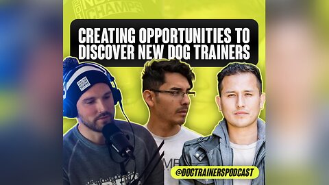 Creating opportunities to discover new dog trainers